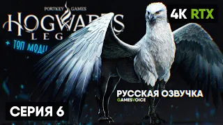 РУССКАЯ ОЗВУЧКА 🅥 Hogwarts Legacy Прохождение на Русском #6 🅥 Хогвартс Легаси Обзор Геймплей