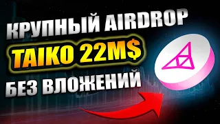 САМЫЙ БОЛЬШОЙ AIRDROP БЕЗ ВЛОЖЕНИЙ | ЗАРАБОТОК НА ТЕСТНЕТЕ TAIKO