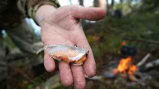 СОРОГУ НА УДОЧКУ ДОСТАЮ КАК ИЗ БОЧКИ.ТАЕЖНЫЙ БЫТ. ЖИВУ ОДИН НА ОЗЕРЕ.