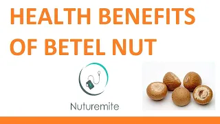 Betel Nut: A Natural Stimulant and a Healthful Supplement||  Effects of Betel Nut on Acute & Chronic