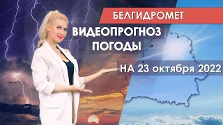 Видеопрогноз погоды по областным центрам Беларуси на 23 октября 2022 года