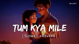 Tum Kya Mile (Slowed + Reverb) | Arijit Singh, Shreya Ghoshal | SR Lofi