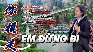 Em Đừng Đi【你莫走】|| Cover Sáo Điện Tử Da Diết Nhất #sáođiệntử #ewi