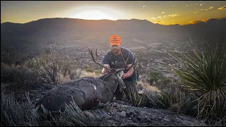 Texas Public Land Muley Hunt