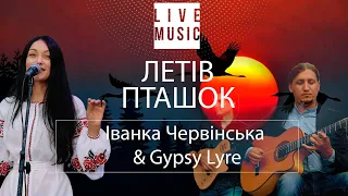 ЛЕТІВ ПТАШОК українська пісня про кохання -  Іванка Червінська & Gypsy Lyre