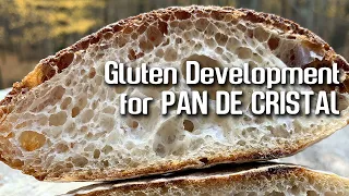 Gluten development for Honeycomb PAN de CRISTAL.  | By JoyRideCoffee
