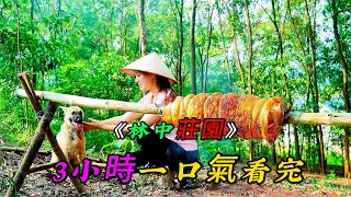 3小時一口氣看完《林中莊園》