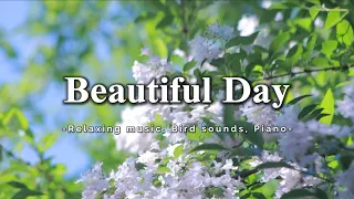 Relaxing piano music with bird sounds|Beautiful melody|Sleep music|Elegant Music| #relaxingmusic