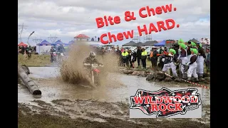 Wildwood Rock Extreme 2019 - A Muppet's Race Perspective