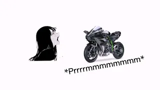 Please stop saying dumbass things,you're not even making sense (Kawasaki Ninja H2R version)