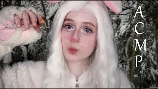 АСМР Зайка замаскирует тебя в зимнем лесу | Ролевая игра | ASMR Roleplay Bunny