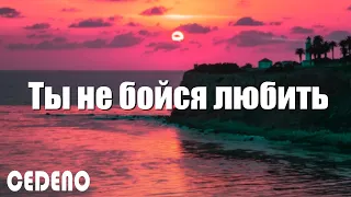 Ты не бойся любить / Виктор Могилатов feat. Sevenrose tekct