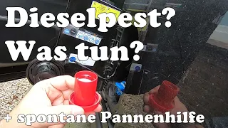 Was kann man gegen Dieselpest tun? Spontane Pannenhilfe leiste ich auch noch 😀