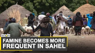 World Food Programme appeals for access as famine appears in Sahel | Burkina Faso | Mali | Niger