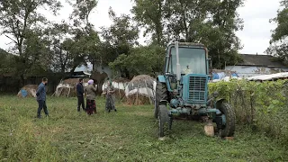 ХОТТНИЧУЬРА ТРАКТОРИСТ МУСХАЖИЕВА МАЛКАН