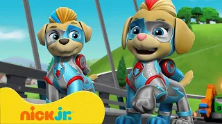 دوريات المخلاب | أشجع عمليات إنقاذ عائلة الحيوانات | Nick Jr. Arabia