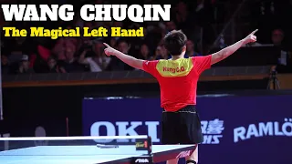 Wang Chuqin - The Magical Left Hand ! (Crazy Shots)