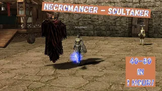 Lineage 2 Necromancer Power Leveling: 40-80 in 1 Hour!