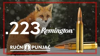 Kalibar 223 Remington