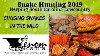 Snake Hunting 2019 Flipping Tin for Snakes in South Carolina