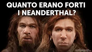 Chi Vincerebbe: Umani Moderni vs Neanderthal