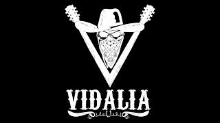Vidalia - Louisianne (Karaoke Version)