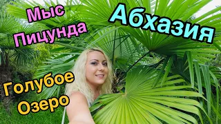 ПИЦУНДА. Абхазия сегодня 19 ноября 2021 г.