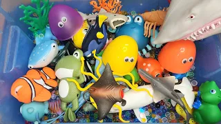 Sea Animal Toys| Sea creatures names and facts for toddlers