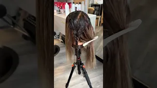 Braided Balayage Lowlight Technique | Abigail Resch Hairstylist