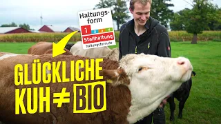 Bio oder was? Das Problem mit den Tierwohl-Labeln I Hundert Hektar Heimat