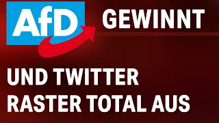 AfD Gewinnt Wahl & TWITTER Rastet Aus (Politiker Beleidigen Wähler)