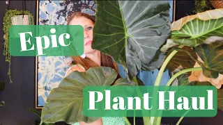 EPIC PLANT HAUL SEPTEMBER 2019