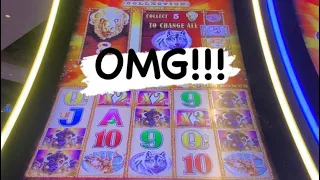3rd JACKPOT THIS YEAR!!!!! 🎰 Buffalo Gold Colection Triplle Sunsets Payoff