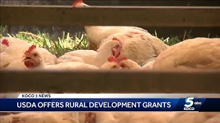 USDA offering grants for rural businesses