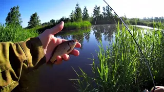 Мормышинг! Ловля карася на спиннинг.