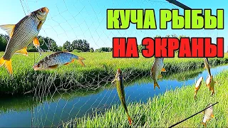 РЫБА НЕ ДАЁТ ПОСТАВИТЬ ЭКРАНЫ!!! Удачная рыбалка на экраны   телевизоры.