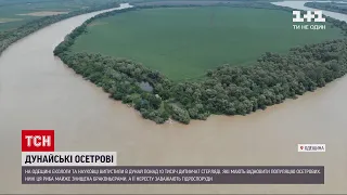 Новини України: в Одеській області екологи провели унікальне зарибнення Дунаю