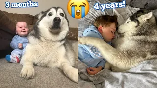 4 Years Story Of My Husky & Baby Becoming Best Friends! [WITH MUSIC]