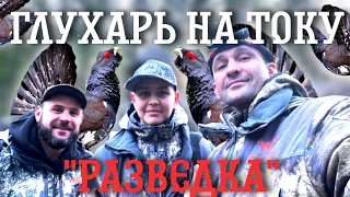 Глухарь на току. «Разведка»