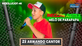 MELÔ DE PARAPAPA - Zé Amando Cantor (Cheguei no bar chamei a nega pra dançar) [VERSÃO REGGAE REMIX]