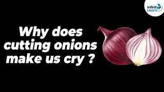 Why does cutting onions make us cry? | One Minute Bites | Don't Memorise