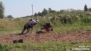 Копаем урожай картошки 2022г.,😉👍.