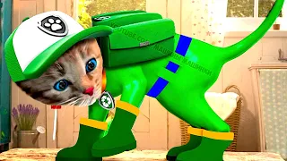 ADVENTURE OF A LITTLE KITTEN cartoon about kittens cartoon for kids and toddlers cartoons on #427