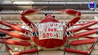 The Best King Crab Restaurant in Osaka (Kani Dōraku).