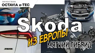 Skoda Octavia 4 1.0 TSI DSG  E-TEC "Мягкий Гибрид" (2021)