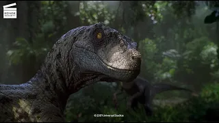 Jurassic Park III: Raptor ambush (HD CLIP)