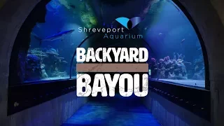 Shreveport Aquarium's Backyard Bayou - Ep. 5 - Shreveport Aquarium