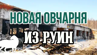 Расширяемся: из руин - новая овчарня