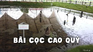 Secret of Cao Quy pile yard in Hung Dao Vuong Tran Quoc Tuan's strategy to fight the Nguyen army