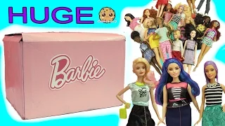 Biggest Haul Giant Box of  Barbie Tall, Petite, Curvy Fashionistas